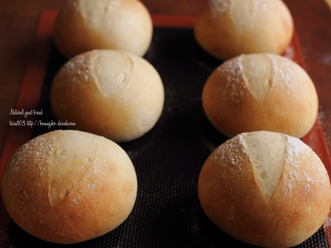レーズン酵母を仕込んで 丸パン ミルクボールを作る レシピ付き 小麦粉だいすき